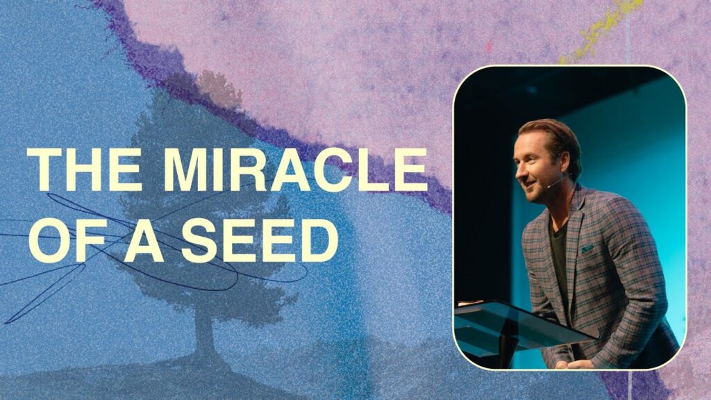 The Miracle Of A Seed